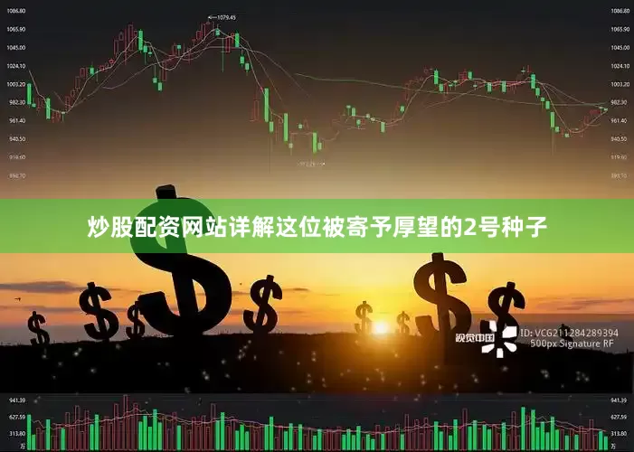 炒股配资网站详解这位被寄予厚望的2号种子