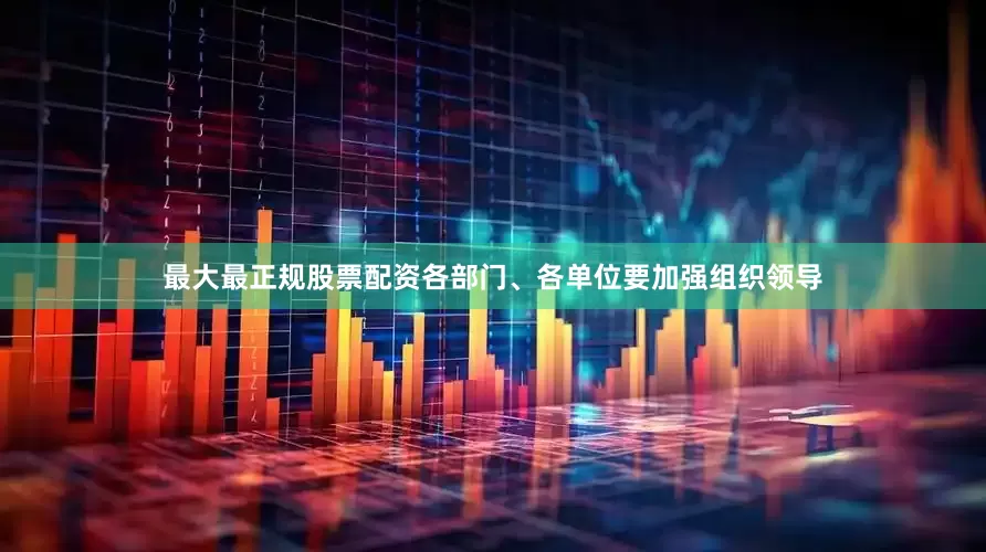 最大最正规股票配资各部门、各单位要加强组织领导