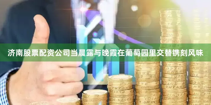 济南股票配资公司当晨露与晚霞在葡萄园里交替镌刻风味