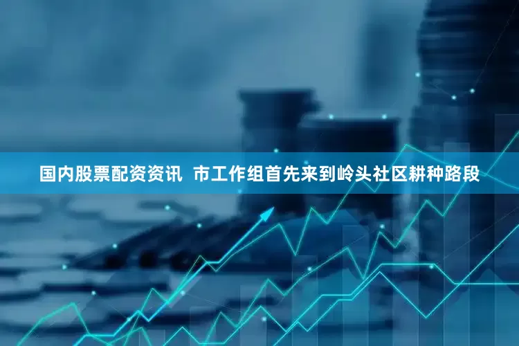 国内股票配资资讯  　　市工作组首先来到岭头社区耕种路段